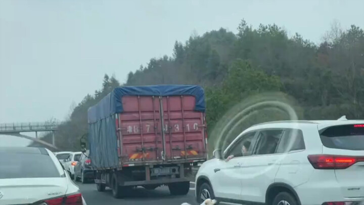 Awalnya aku pikir dia cuma iseng sama anjingnya—sampai-sampai dia mewarnai anjing-anjing itu—baru sa