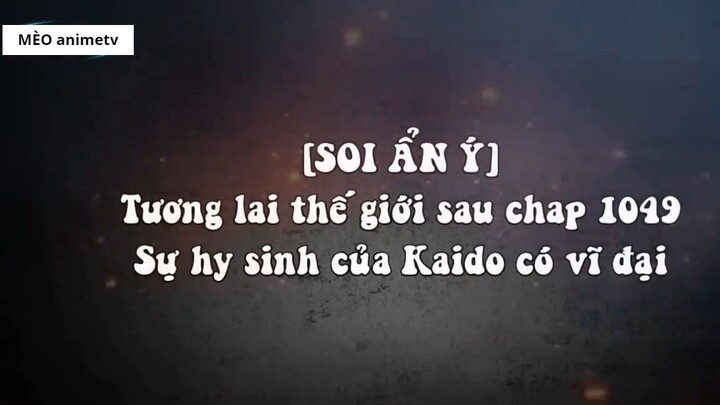 [SOI ẨN Ý]. Tương lai thế giới sau chap 1049, Sự hy sinh của Kaido có vĩ đại_ 1
