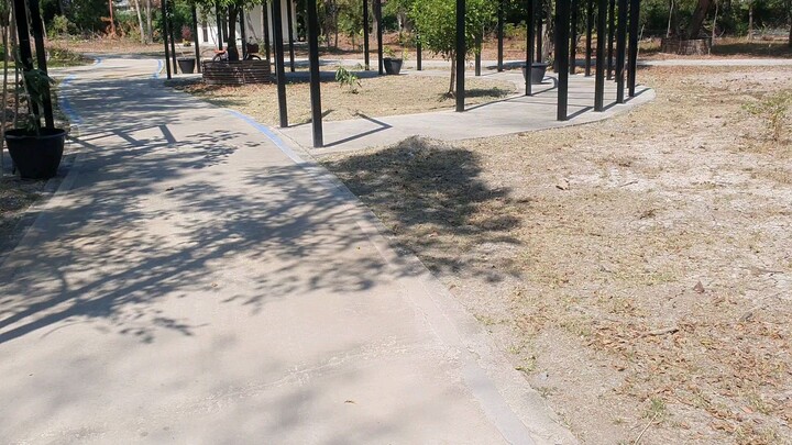 สวนป่ารอบล้อม