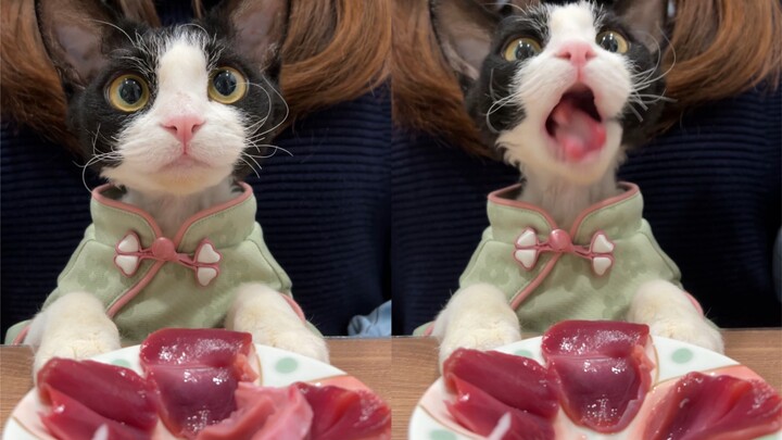 We’re finally almost out of the piggy’s “eggs” stash—time to take a break for now~ Daily routine: Af