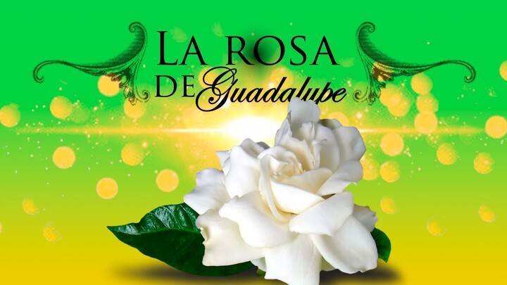 C1680_ Un ángel _ Shows La Rosa de Guadalupe _ Las Estrellas