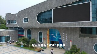 qinqinwwhitedolphin