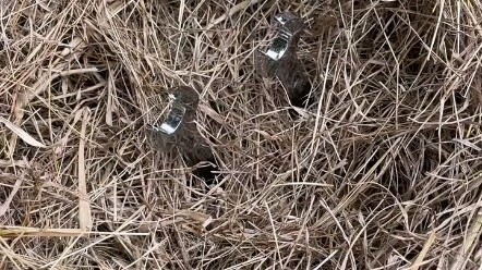 مشهد دافئ شاهدته في الحديقة.