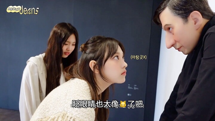 Kucing kecil mengamati manusia, benar-benar super kiyo!