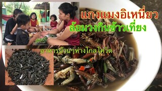 แกงแมงระงำเมนูจากธรรมชาติที่ไปหามา กินข้าวล้อมวงกับครอบครัวแซ่บๆจ้า