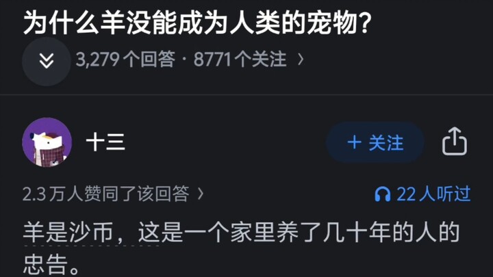 Tại sao cừu không thể trở thành thú cưng của con người?