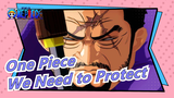 [One Piece] We Should Know the Number of People We Need to Protect