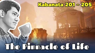 The Pinnacle of Life / Kabanata 201 - 205