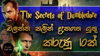 10 things to remember before watching The Secrets of Dumbledore | Sinhala | Harry Potter