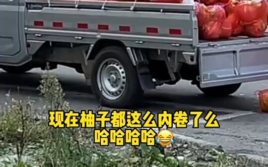 Mom, I want to eat pomelos! The one you love the most wants some—how many? Five! They’re so yummy, h