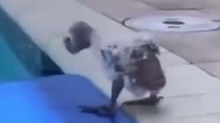 Watch And Laugh