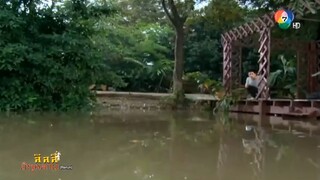 ลิลลี่สีกุหลาบ 10