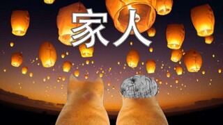 故乡今夜思千里，霜鬓明朝又一年