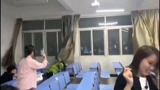 لماذا يجب الابتعاد عن النوافذ والأبواب أثناء الطقس المضطرب؟