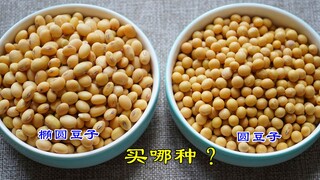 هناك فرق كبير جدًا بين فول الصويا المعدّل وراثيًا وغير المعدّل وراثيًا. شرح شامل، بعد مشاهدته لا تخط