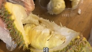 Durian AI 2.0
