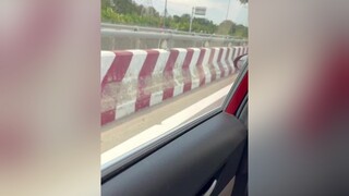 Kiếp sau mong em hạnh phúc và vui vẻ mèo cat