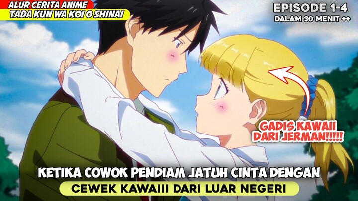 KETIKA COWOK PENDIAM JATUH CINTA DENGAN CEWEK JERMAN ‼️ - ALUR CERITA ANIME TADA KUN WA KOI EPS 1-4