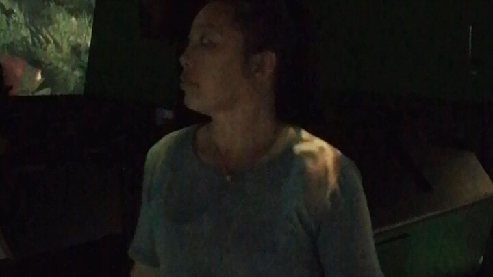 看一下全景野生大象园
