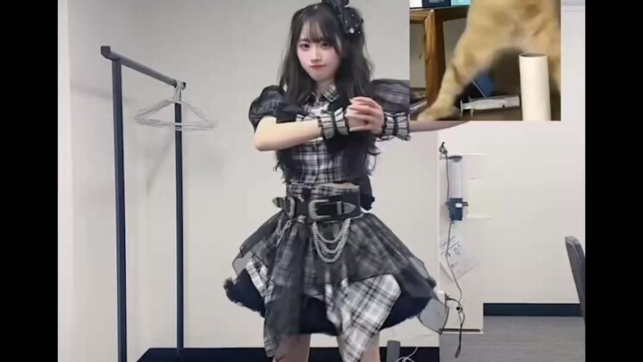 สาวซากุระแนวแอบสแตรกต์เต้นรำอย่างบ้าคลั่ง