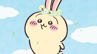 【Chiikawa】诶这时候就有同学要问了