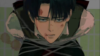 Levi Ackerman