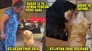 Awalnya Ga Boleh Pelihara.! Endingnya Si Emak Jadi Bucing (Budak Kucing), Gara-gara Pelet Si Oren