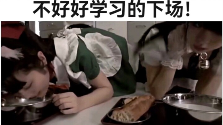 Side-Splittingly Hilarious Dumb Pics #191