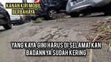 Anak Kucing Kurus Kebingungan Menangis Di Pinggir Jalan Raya Mencari Ibunya..!