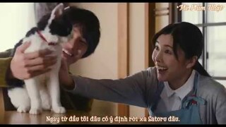 Trailer Tabineko Ripoto(Cuộc hành trình của mèo Nana)2018[Vietsub][Mê Phim Nhật]