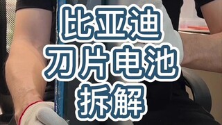BYD Blade Battery Disassembly