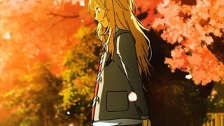 Anime : your lie in april, genre :music, romance, sad