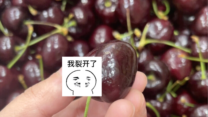 Why are there pears in the cherries Mom and Dad brought home?! (crying)