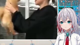 Japanese natural little sister watching "I still like your unruly look"