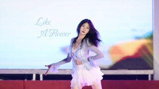 【Like a flower】女高翻跳
