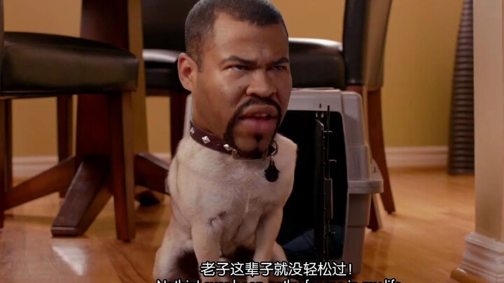 พี่น้องผิวดำไม่ได้เปลี่ยนทรงผมได้เท่านั้น ยังเปลี่ยนสายพันธุ์ได้ด้วย!