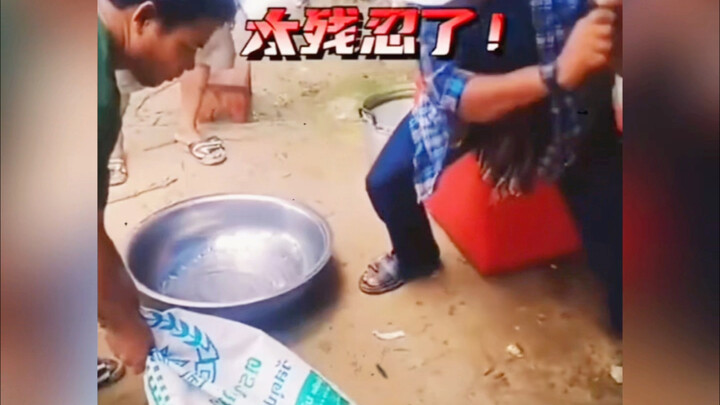 别别别打了……哼！