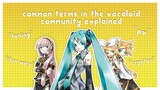 common terms in the vocaloid community explained (for beginners)