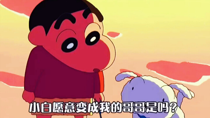 Xiaoxin muốn có một người anh trai, thế là Xiaobai ước rằng mình sẽ trở thành anh trai của Xiaoxin. 