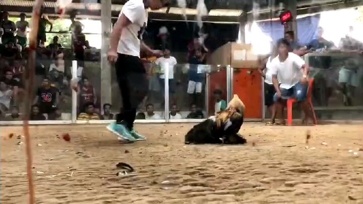 Bugbog ang adobo lines ko 🤣