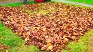 治愈型清洁学起来