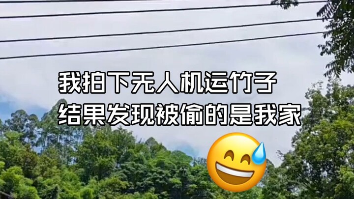 I filmed a drone transporting bamboo, only to discover it was my own that had been stolen.