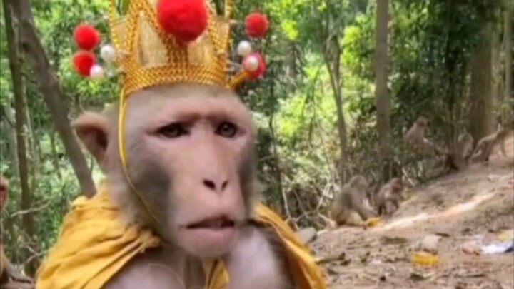 The Monkey King: Hero Is Back