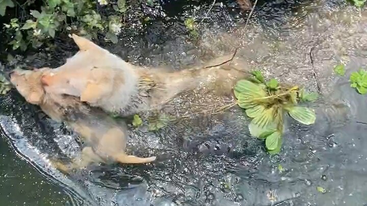 ความยิ่งใหญ่ของความเป็นแม่