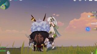 野外遇到的惊喜