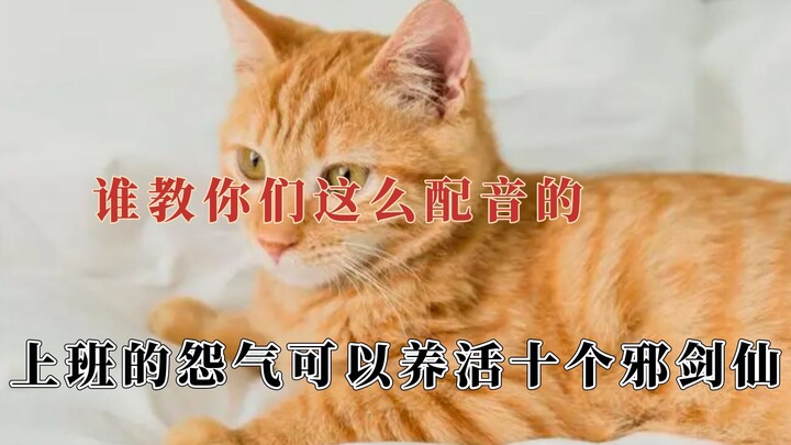 พวกคุณก็ชอบพากย์เสียงแบบนี้กันทั้งนั้น แล้วสภาพจิตใจของผู้เขียนยังโอเคอยู่ไหมนะ