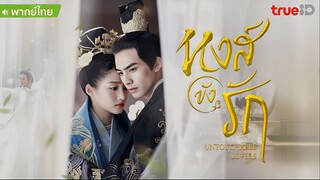 หงส์ขังรัก ตอนที่ 13