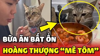 Bữa ăn BẤT ỔN của Sen với chú mèo Pate 😂 | Yêu Lu