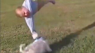 Egol and dog fights
