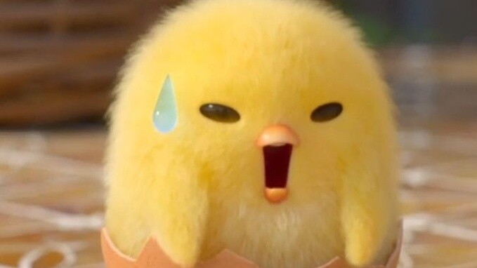 A collection of super cute chicken brother expressions. Mixed cuts of exciting, cute, cute, angry, a